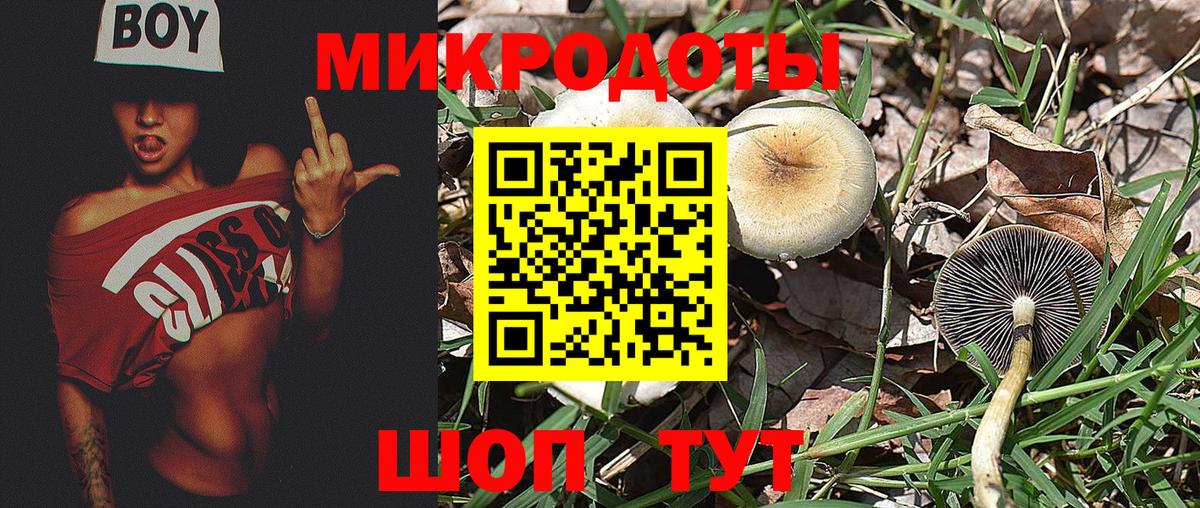 Псилоцибиновые грибы Psilocybine cubensis  Галлюциногенные грибы мицелий  Вход с VPN  Заволжье 