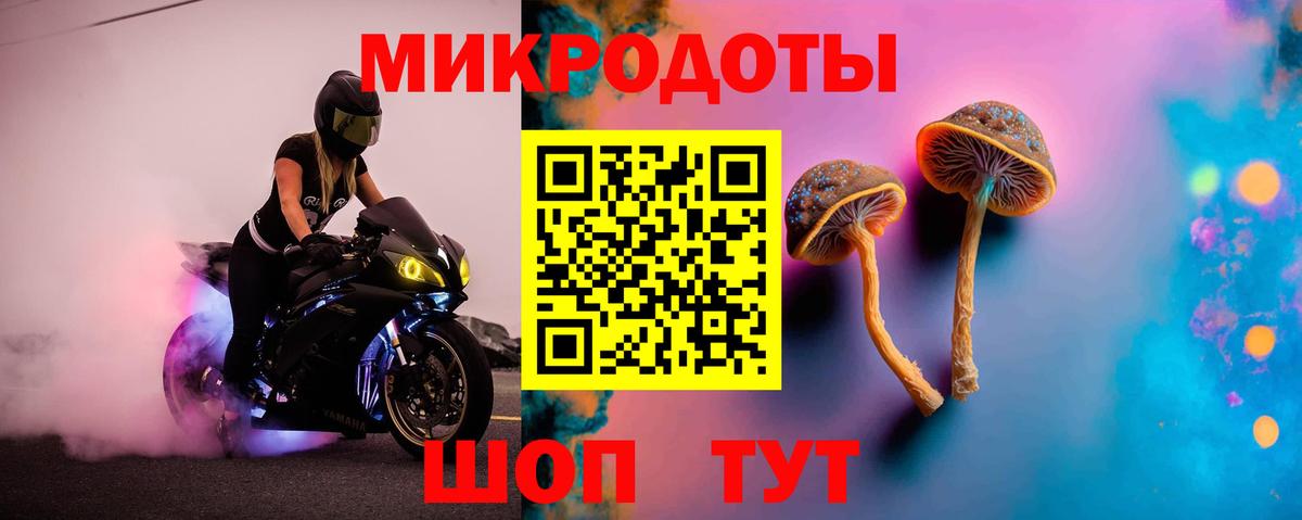 Псилоцибиновые грибы MAGIC MUSHROOMS Заволжье